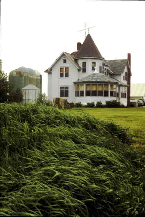 House Near Weaver