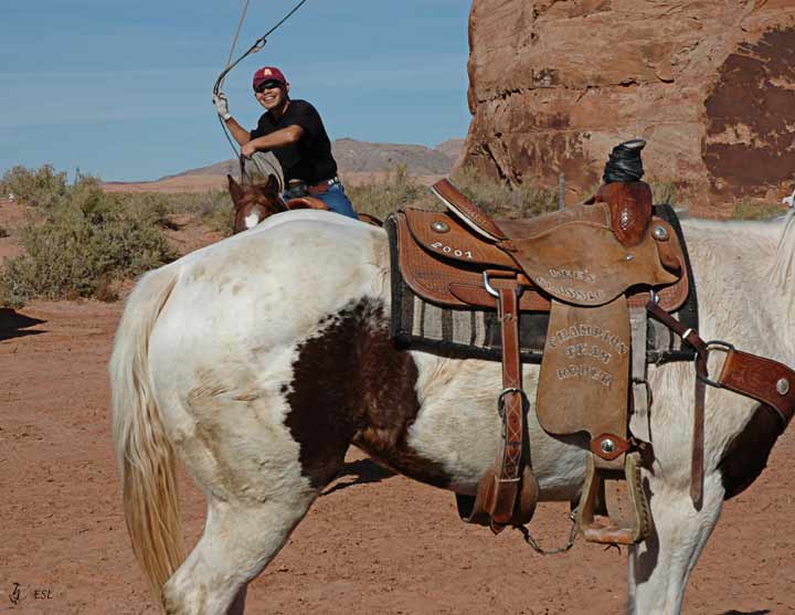 Team Roping #1