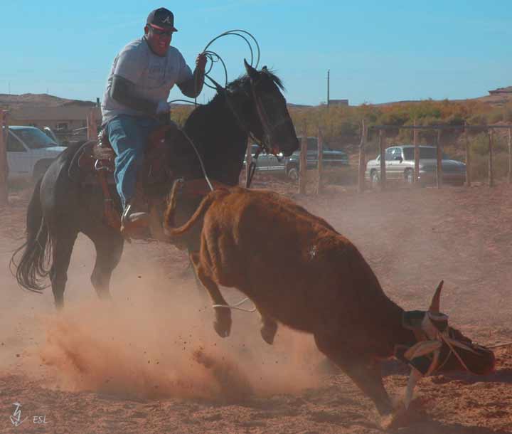 Team Roping #3