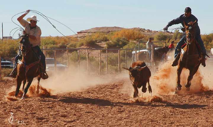 Team Roping #4