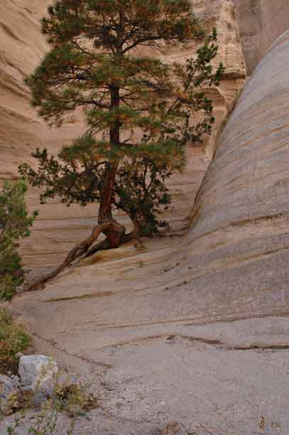 Tent Rocks #1