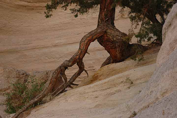 Tent Rocks #2